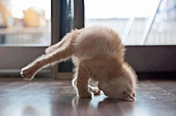 K! off for ma yoga class... 