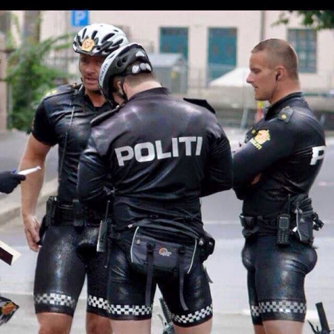 SEXY COPS