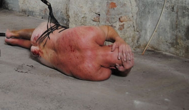Punishing dog