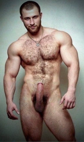 Muscle Stud