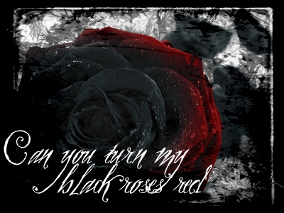 black roses red
