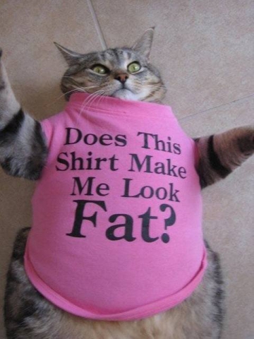 Fat Cat