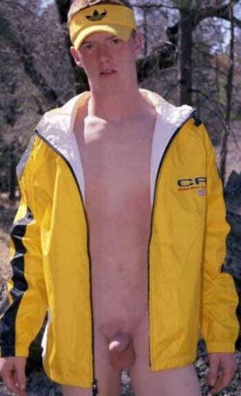 yellow jacket