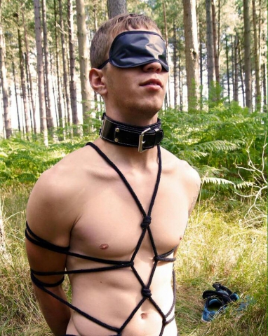 CollarBoy