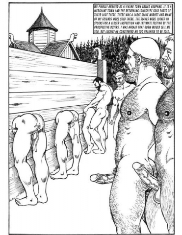 Viking Captives