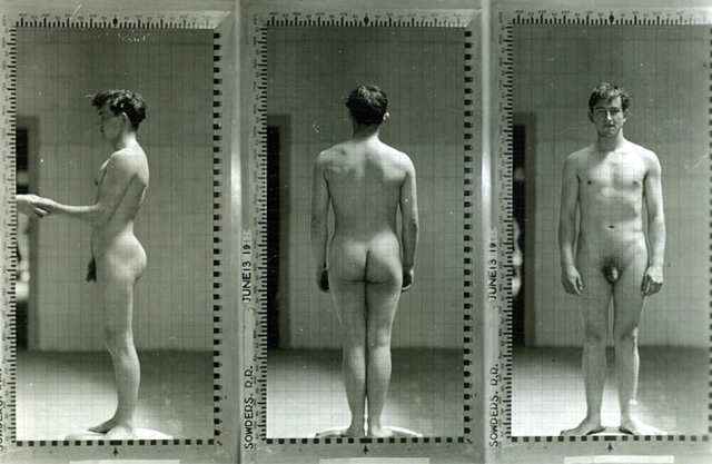 anthropometric 4