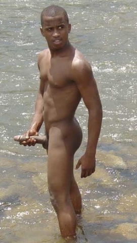 Nubian stud