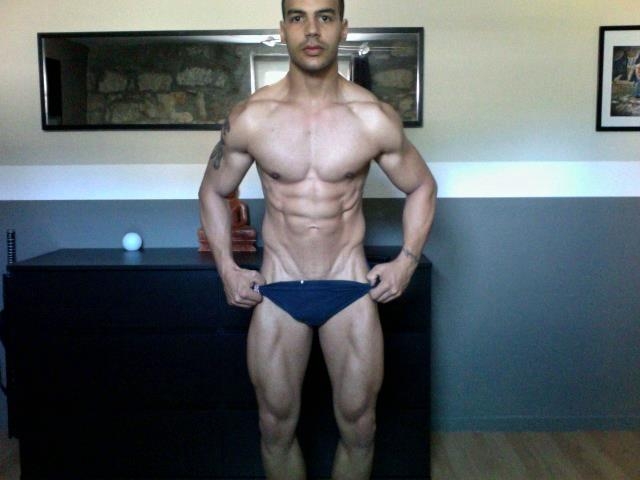 Teddy