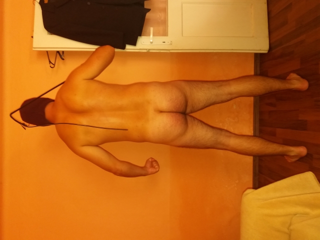 my sir s ass