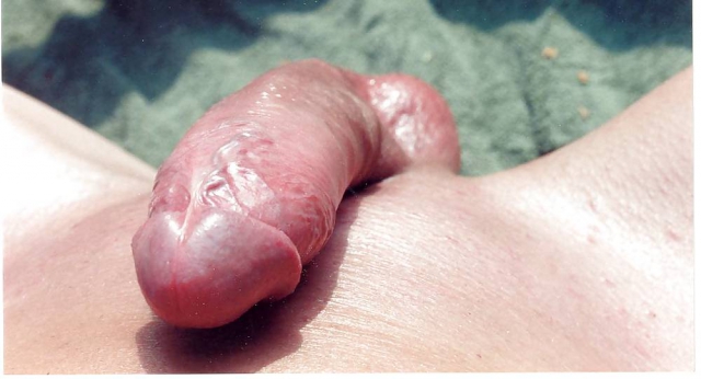 cock dick hung boner young 