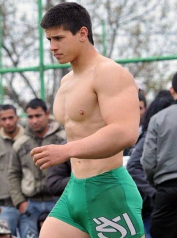 Bulge 