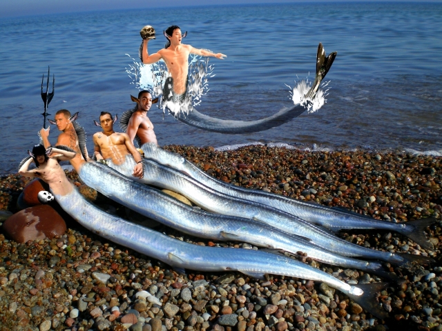 Buenos Días Tritones