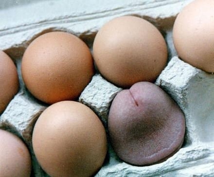All eggs in a box?