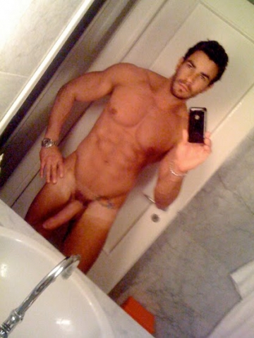 gato2