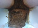 Diapy 2