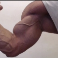 Biceps
