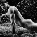 Dieux Du Stade (French Rugby)