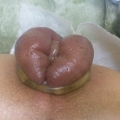 Ass Play