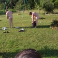 Hardons