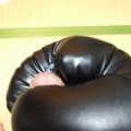 erotic boxing is a knockout sexsport