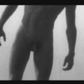 L3DD1CK - TH3 M4L3 NUD3 ALBUM 2