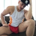 Gallery Of Bulges