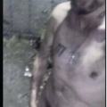 Ethan houde exhibitionist