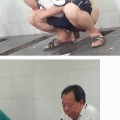 chinese daddies toilet shit