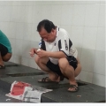 chinese daddies toilet shit