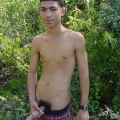 All Cock