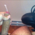 cock